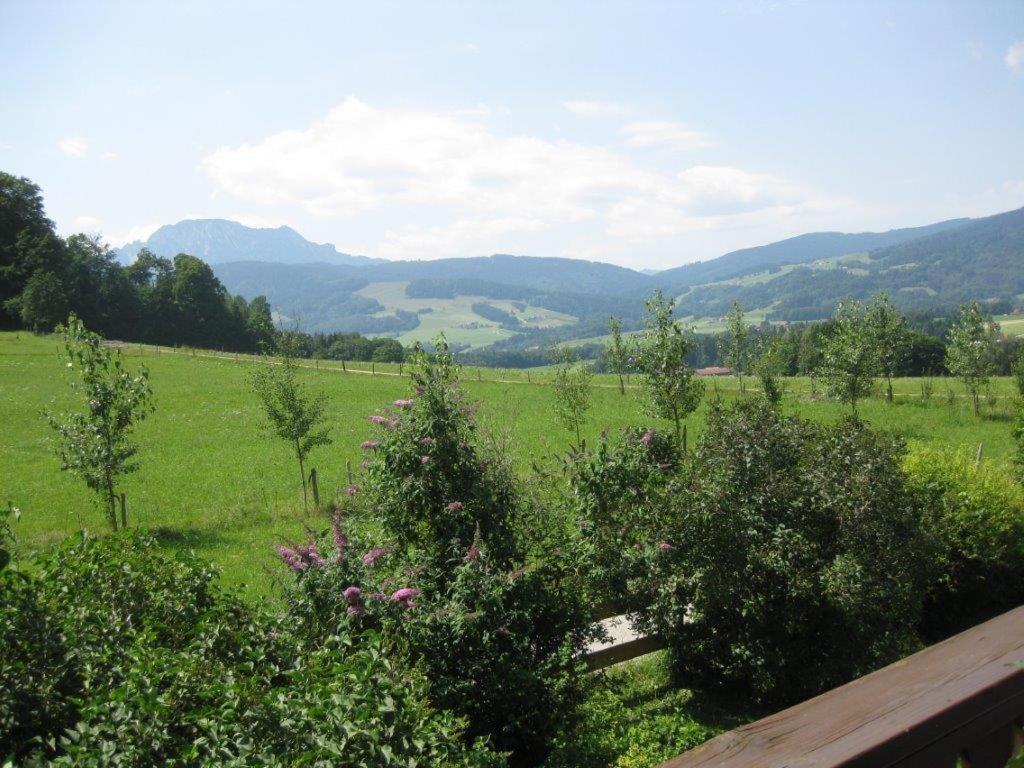 Obermoarhof Apartment Anger Bagian luar foto